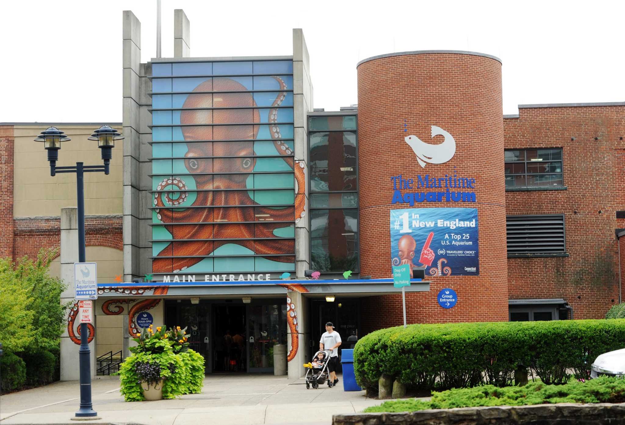 Norwalk's Maritime Aquarium earns international accreditation