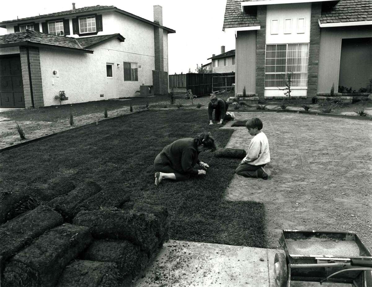 From “Suburbia”: “I bought the lawn in six-foot rolls. It’s easy to handle. I prepare the ground and my wife and son helped roll out the grass. In one day you have a front yard.”