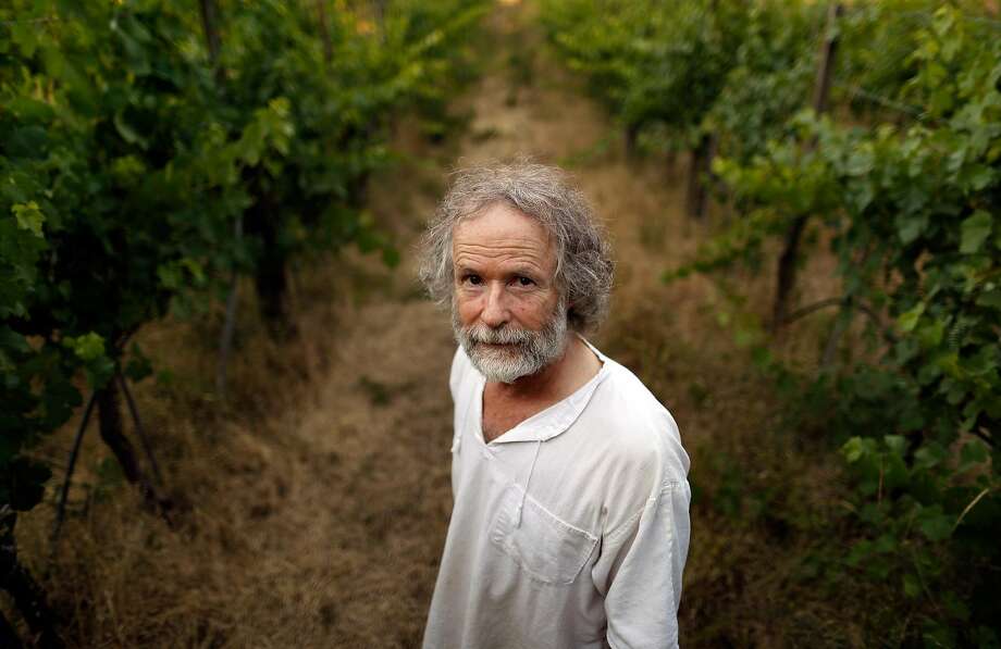 Gideon Beinstock stands among the vines on his property, which he calls the Home Vineyard, the source of wines for his Clos Saron. Photo: Carlos Avila Gonzalez / The Chronicle