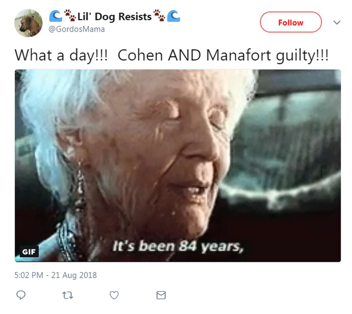 Meme obsessed internet users wasted no time capitalizing on the guilty verdicts for former Trump campaign chairman Paul Manafort and the guilty plea from Michael Cohen, President Donald Trump's former personal lawyer.