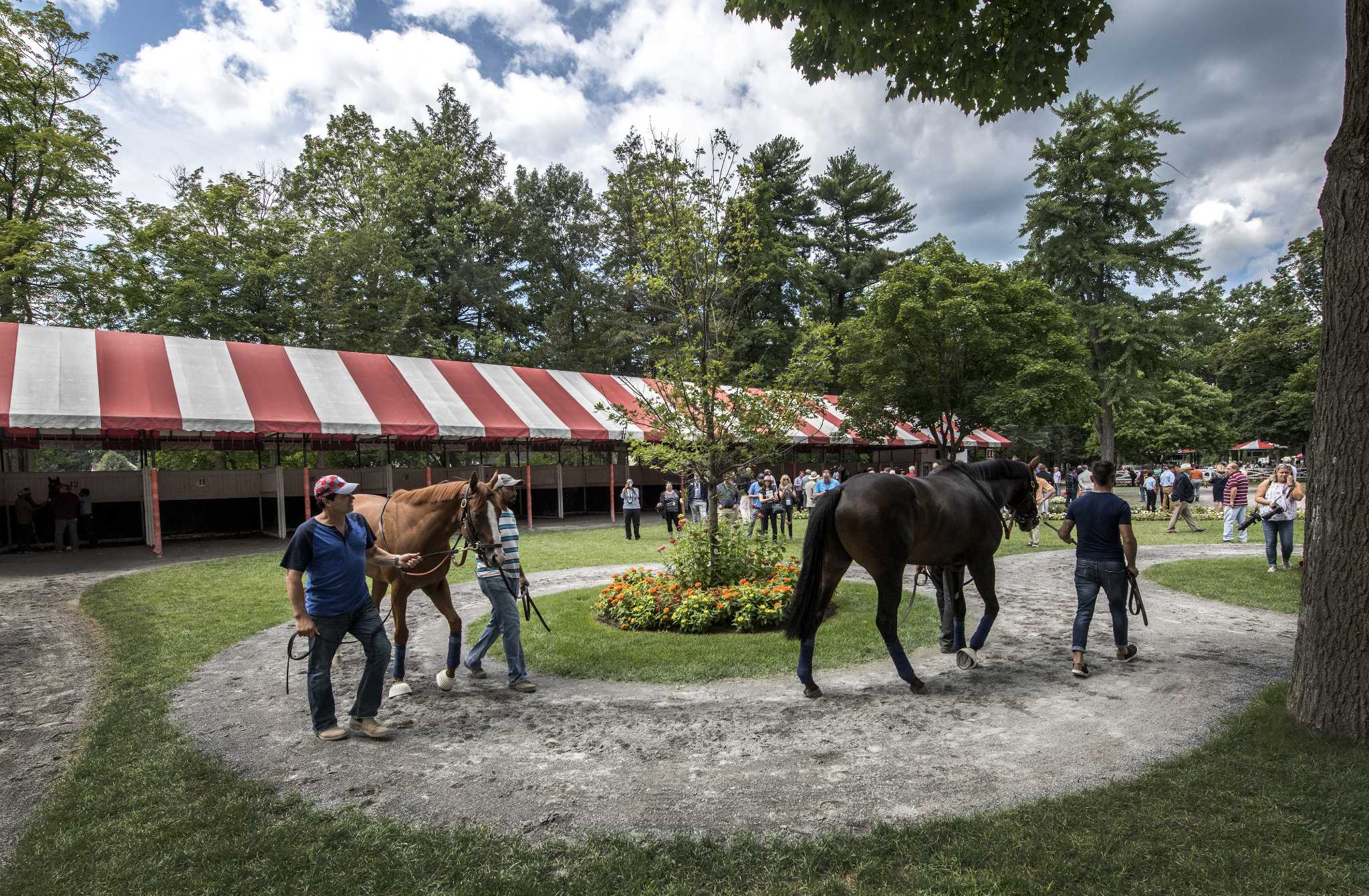 Luck of the Irish at Saratoga Race Course: Mid-Summer St