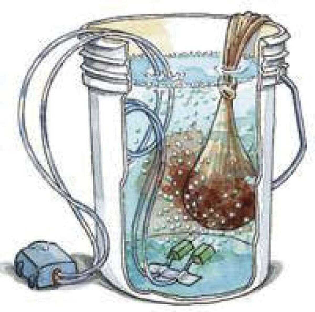 Master Gardener Compost and Compost Tea The Goto Solution for Garden