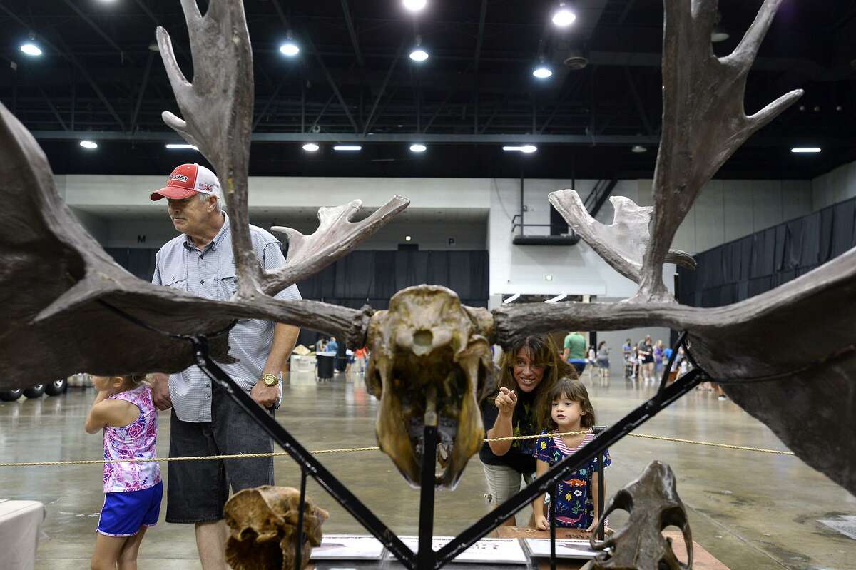 dinosaur with antlers