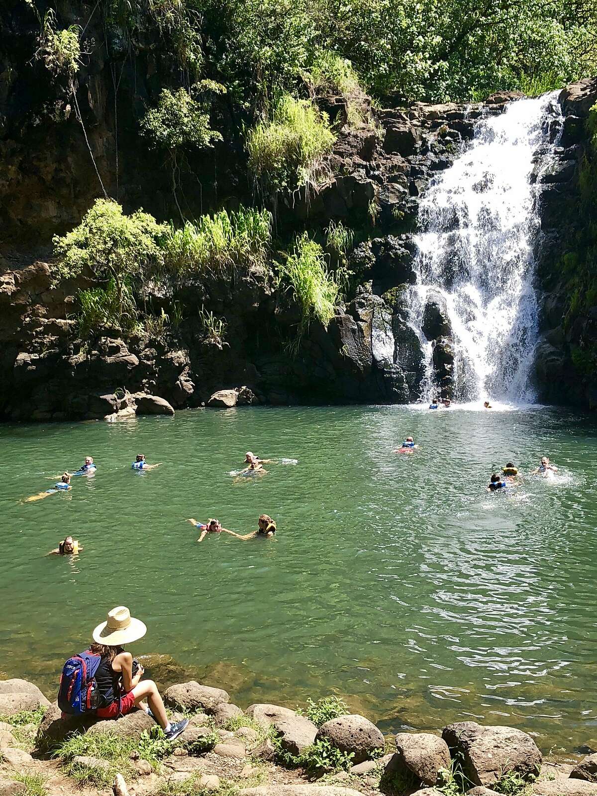 waimea valley field trip