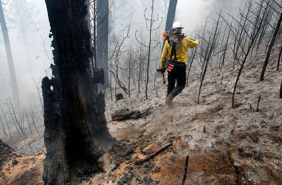Faller Craig Morgan who is responsible for cutting down unstable burned trees walks through a burned area off of Packard Canyon Rd. near Groveland, Ca., as the 16,000 acre Rim Fire continues to grow on Wednesday August 21, 2013. Photo: Michael Macor / The Chronicle 2013