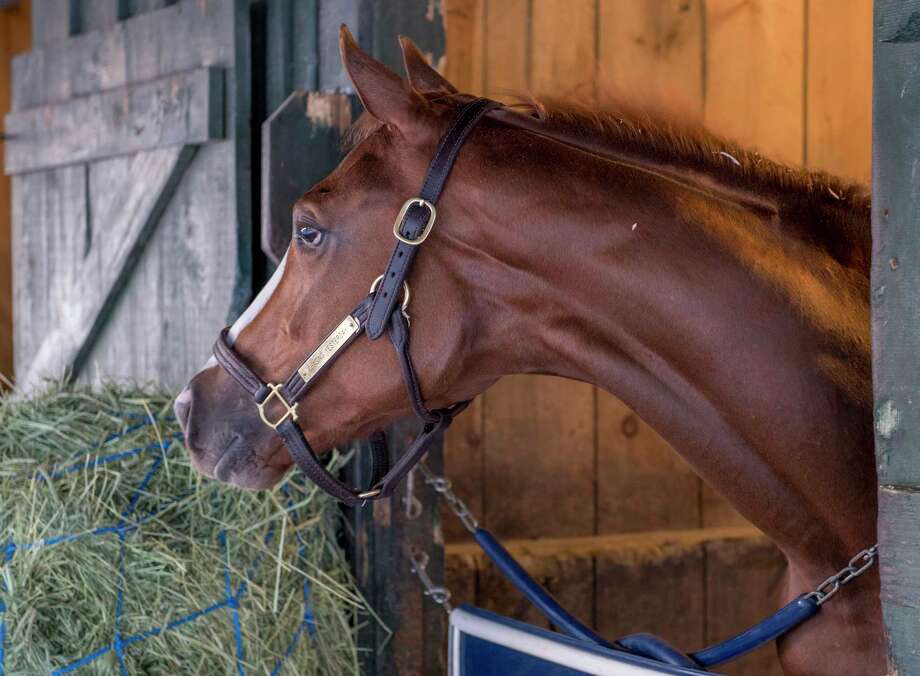 american pharoahs half sister running at saratoga on saturday