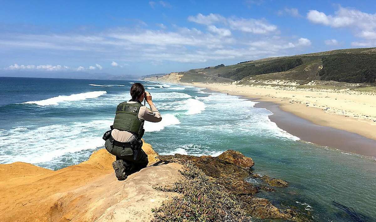 Game Warden Gaba Stauffer of the California Department of Fish and Wildllife on a bluff-top cliff surveilling Pescadero State Beach on the San Mateo County coast