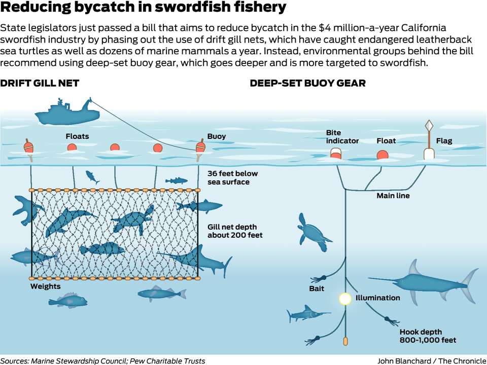 bill gates fishing nets Bill to reduce dolphin, whale deaths by curtailing gill net fishing sent to  Gov. Brown