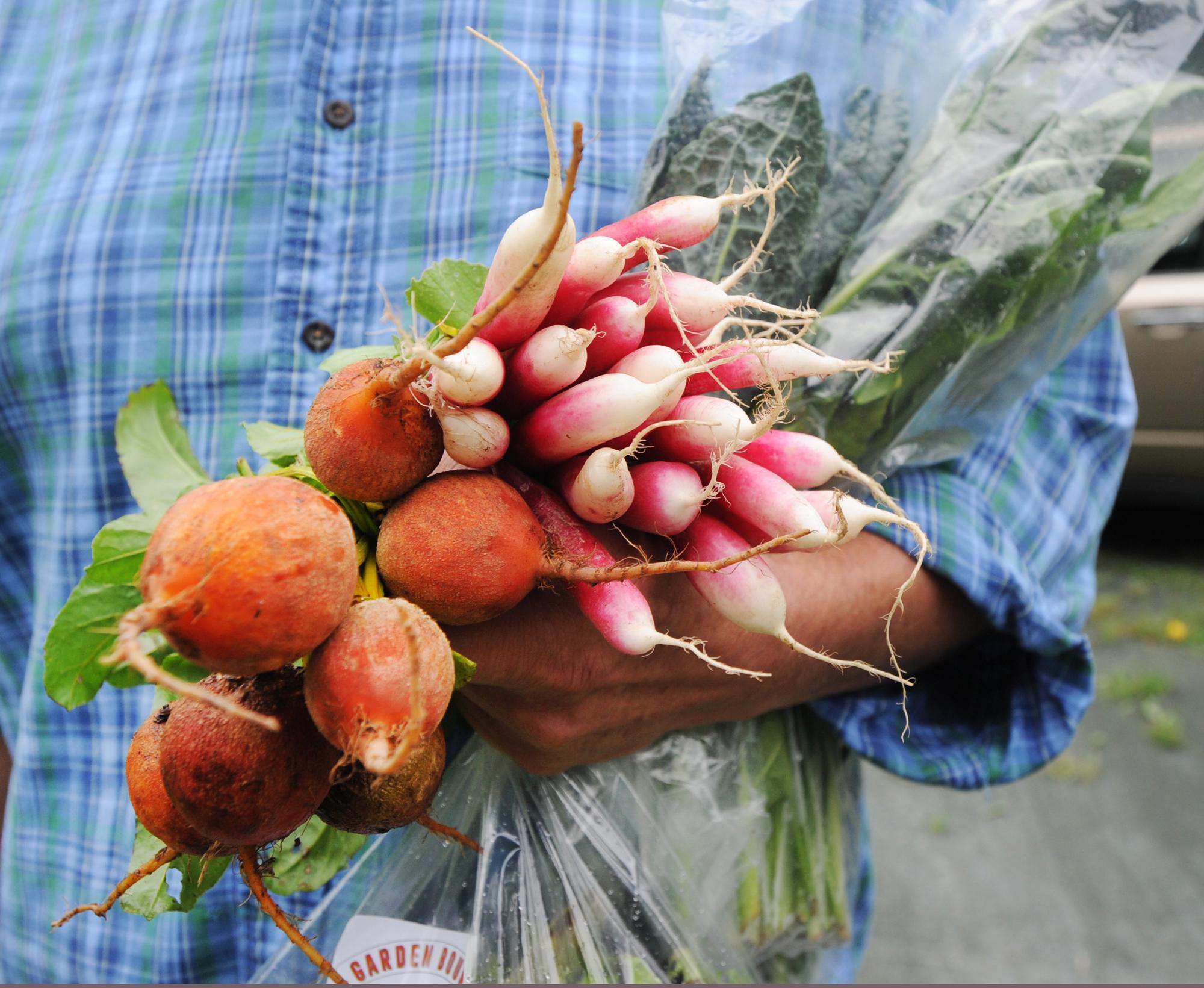 Backcountry Versailles Farms Summer Stand is open