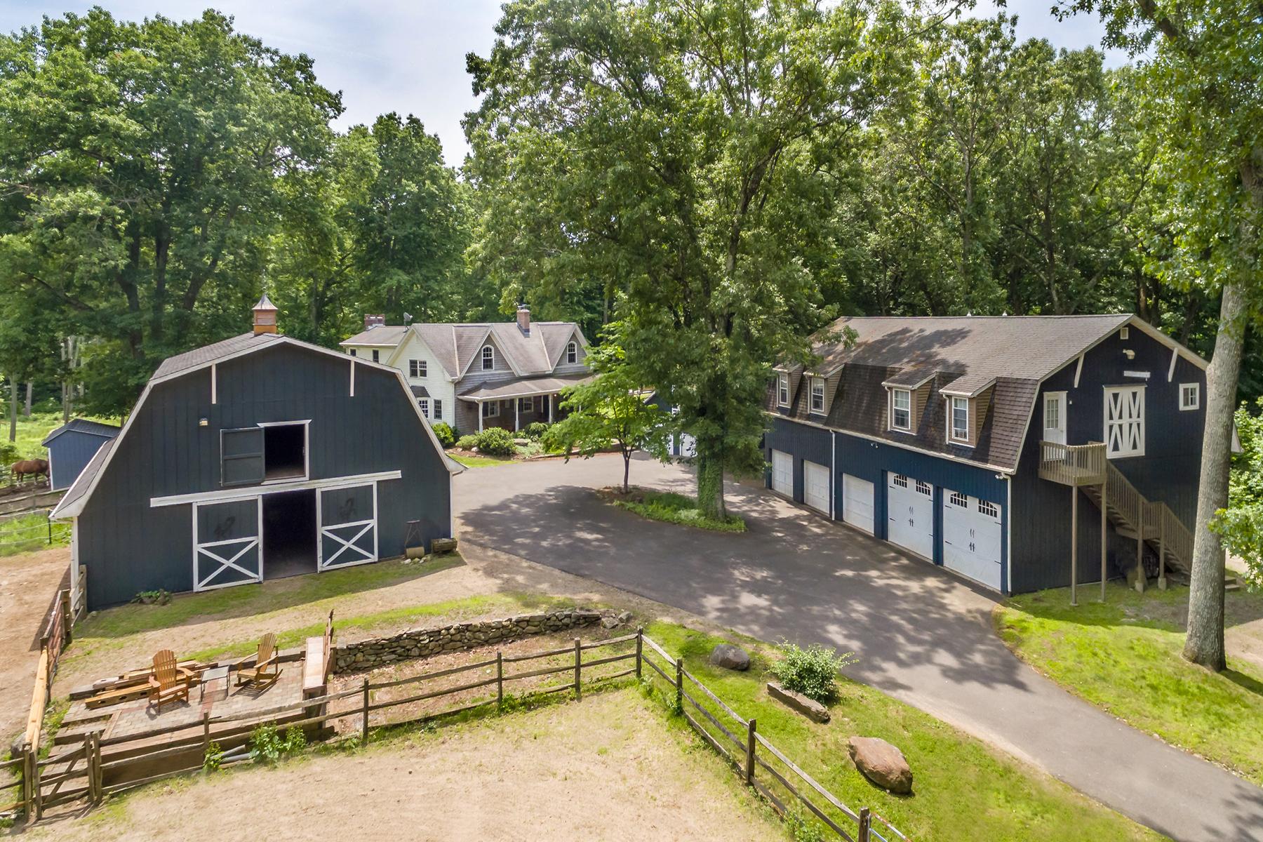 What You Can Buy Working horse farm in Easton on 10.45 acres