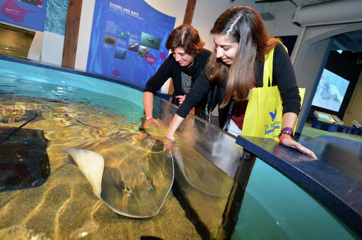 Aquarium operator plans new facility in Trumbull