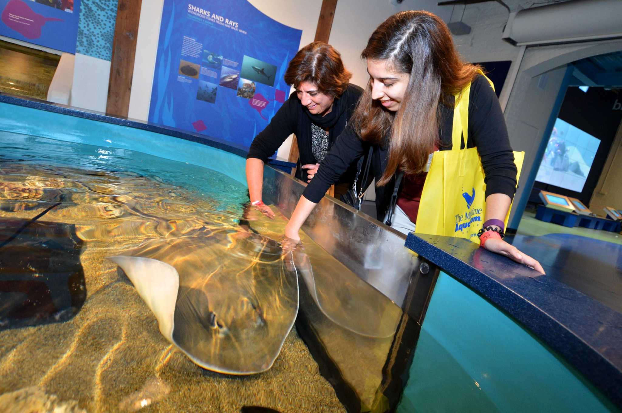 Aquarium operator plans new facility in Trumbull