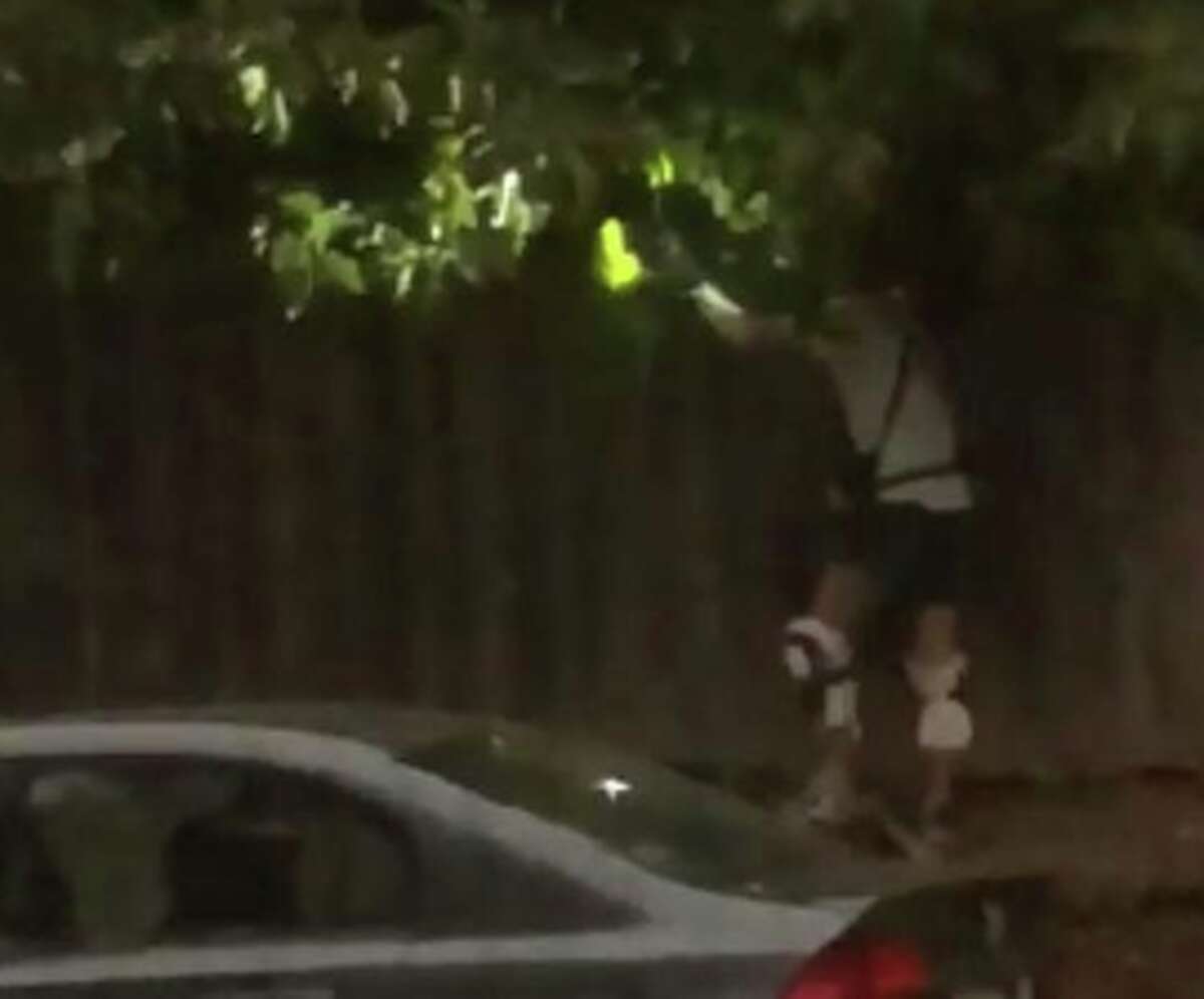 A fruit thief with kneepads and headlamp was spotted by Next Door user Jay Davis in Berkeley. After Davis posted the photo and description of what he saw, a rousing debate broke out over whether it is OK or not to poach fruit grown by others.