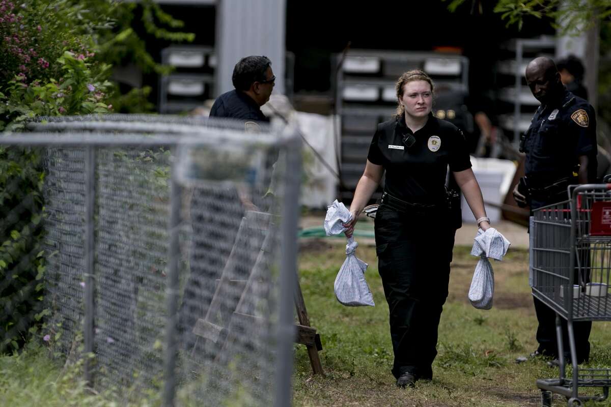 An San Antonio Animal Care Services officer carries bags containing snakes removed from a home in the 500 block of Kayton Avenua on San Antonio's Southside, Wednesday, Sept. 5, 2018. Around 100 snakes, including two 12-15 foot long reticulated pythons were discovered at the home.