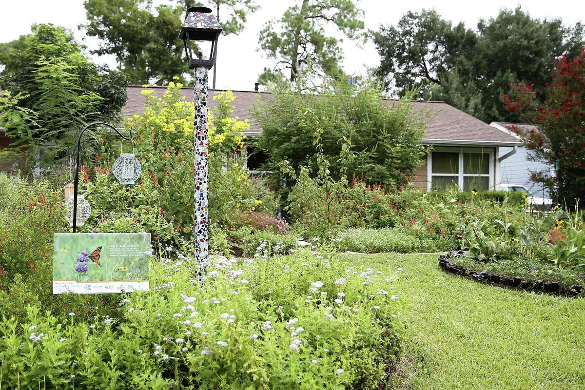 Houstonarea pollinators abuzz over native plants in an Oak Forest