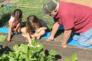 Field of greens: Bethalto church gives youth club a lesson in gardening