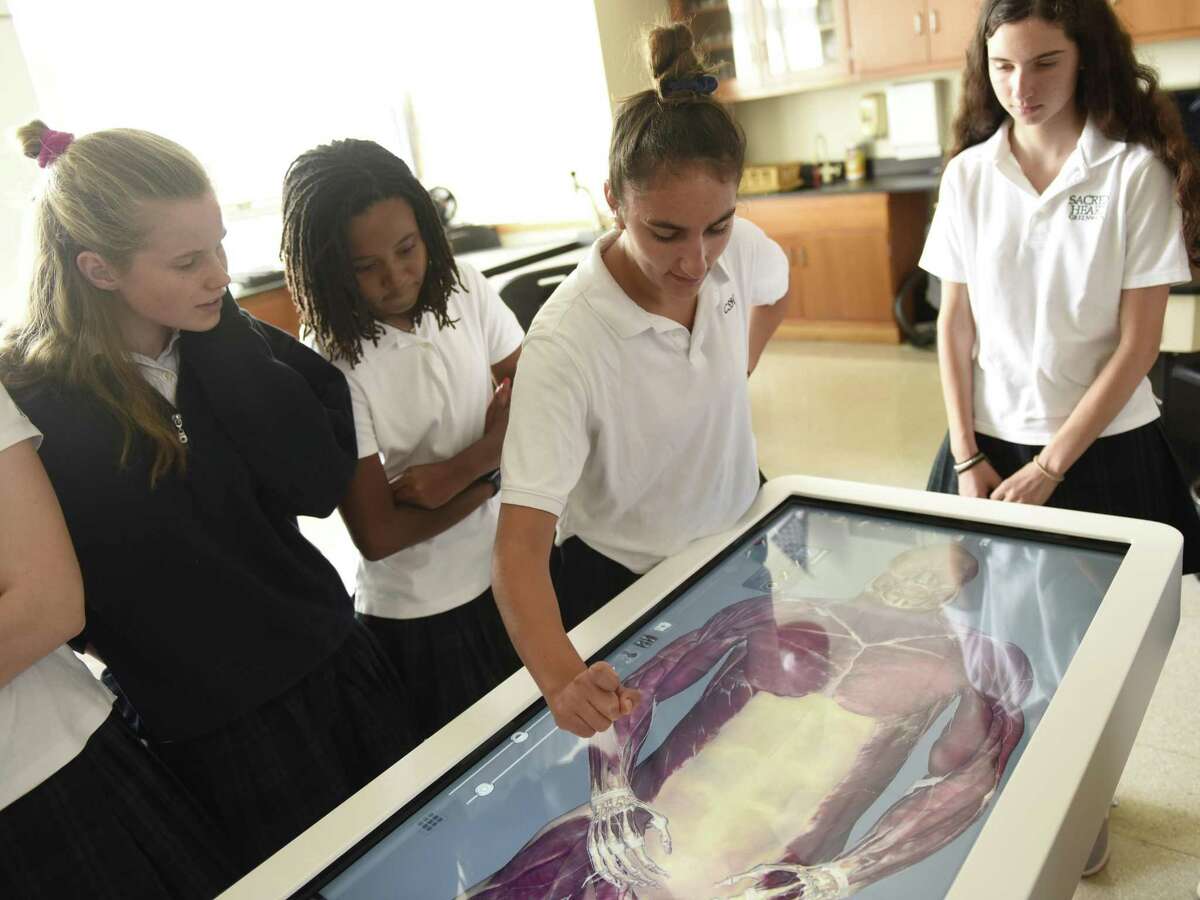Digital dissection table brings Greenwich biology class into the 21st