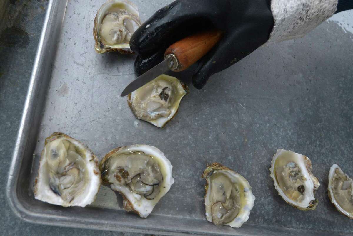 6 things to know about the Norwalk Oyster Festival