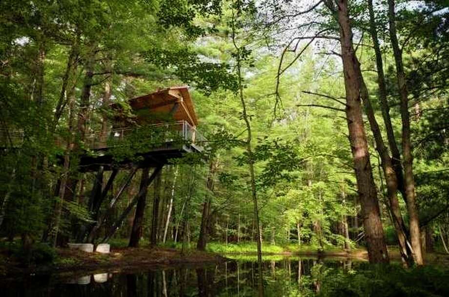 Whiting Forest, canopy walk offers early opening on accessibility day