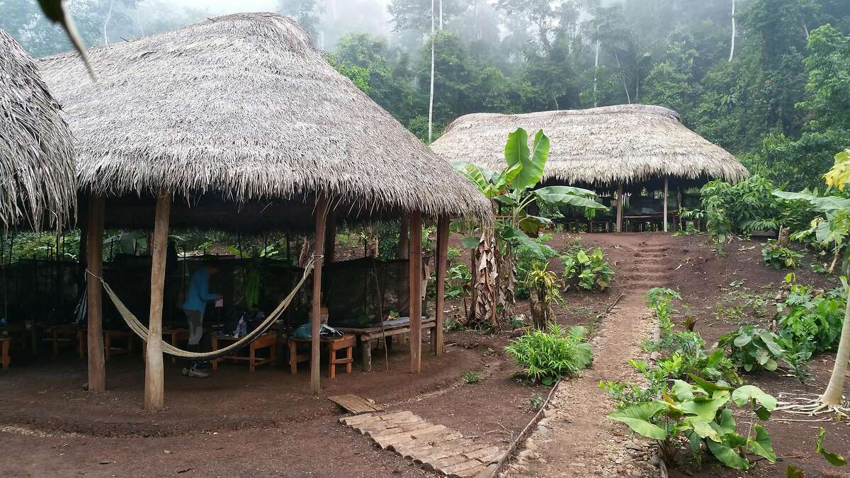 the rainforest and the village of Naku when Manari lives.