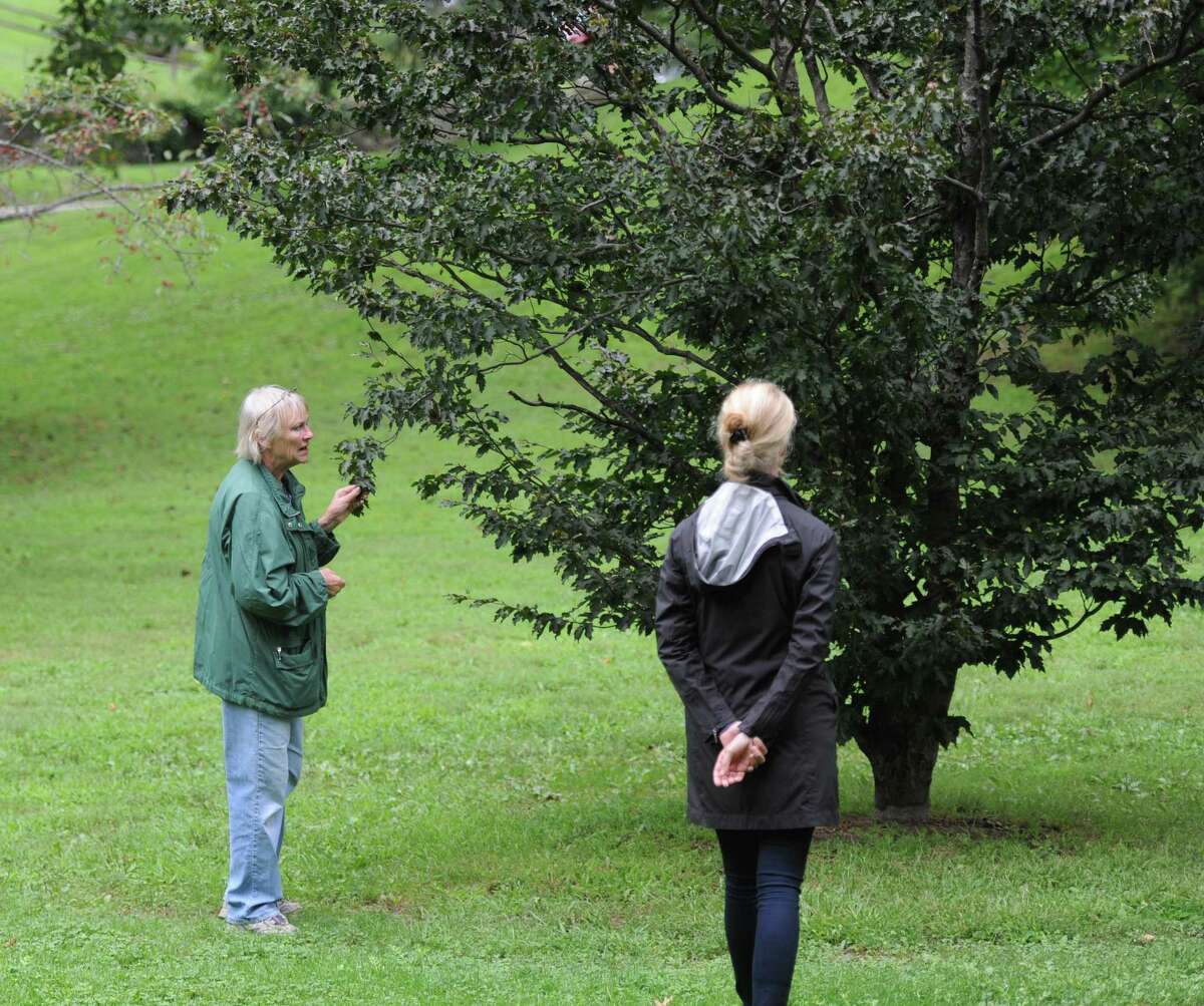 Greenwich Tree Conservancy holds Byram Tree Walk