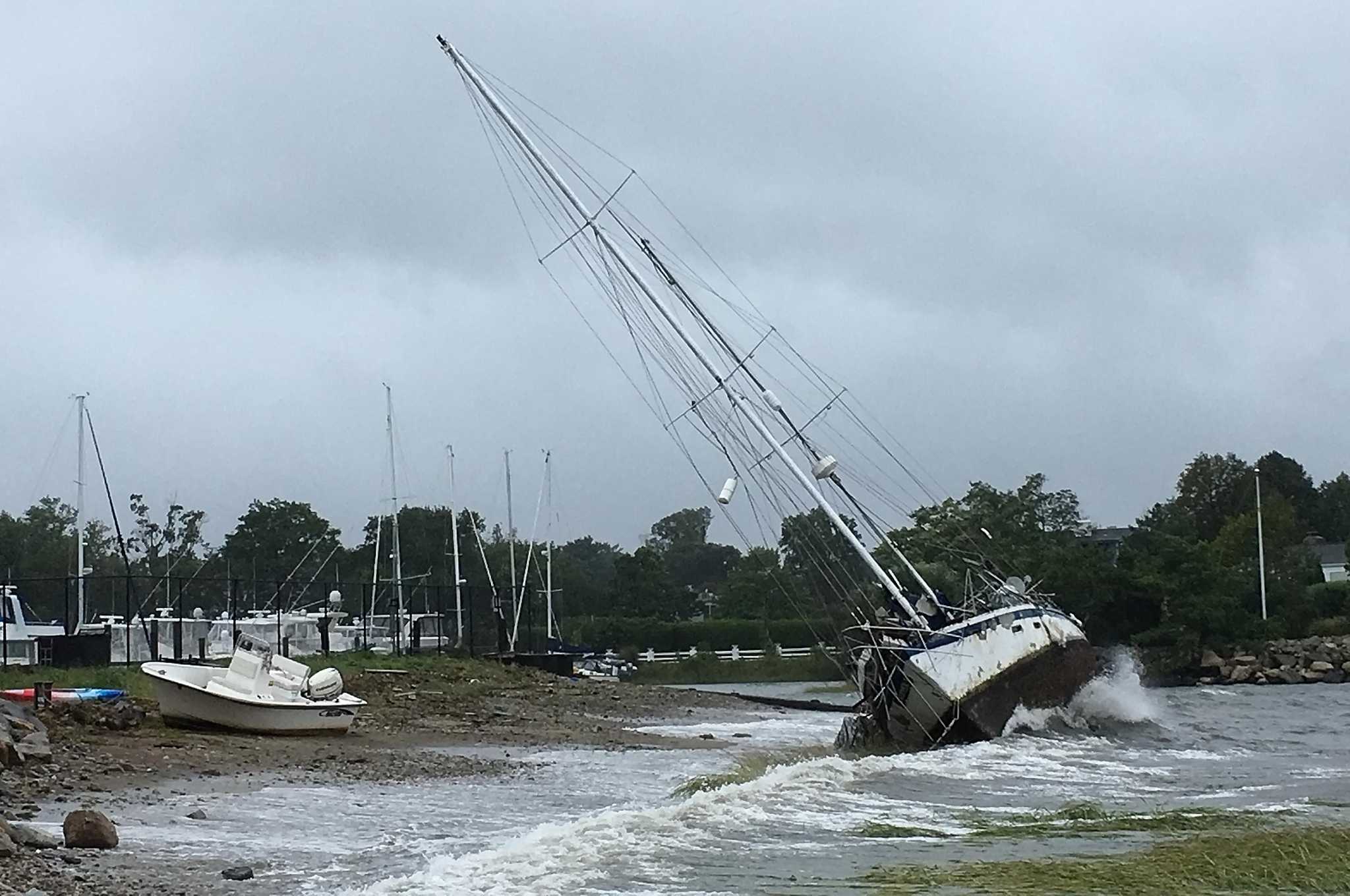 Controversial boat washes ashore