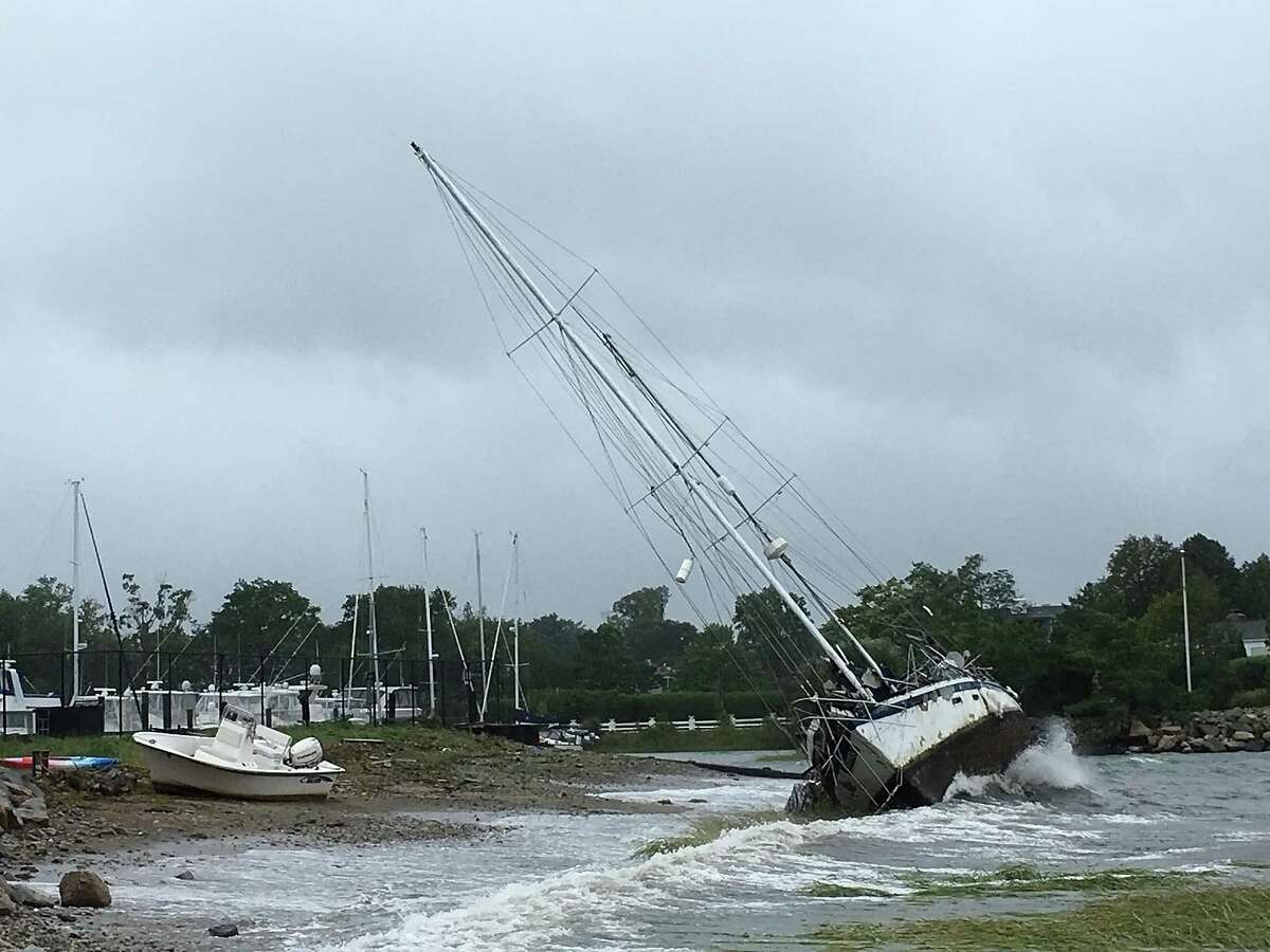 Controversial boat washes ashore