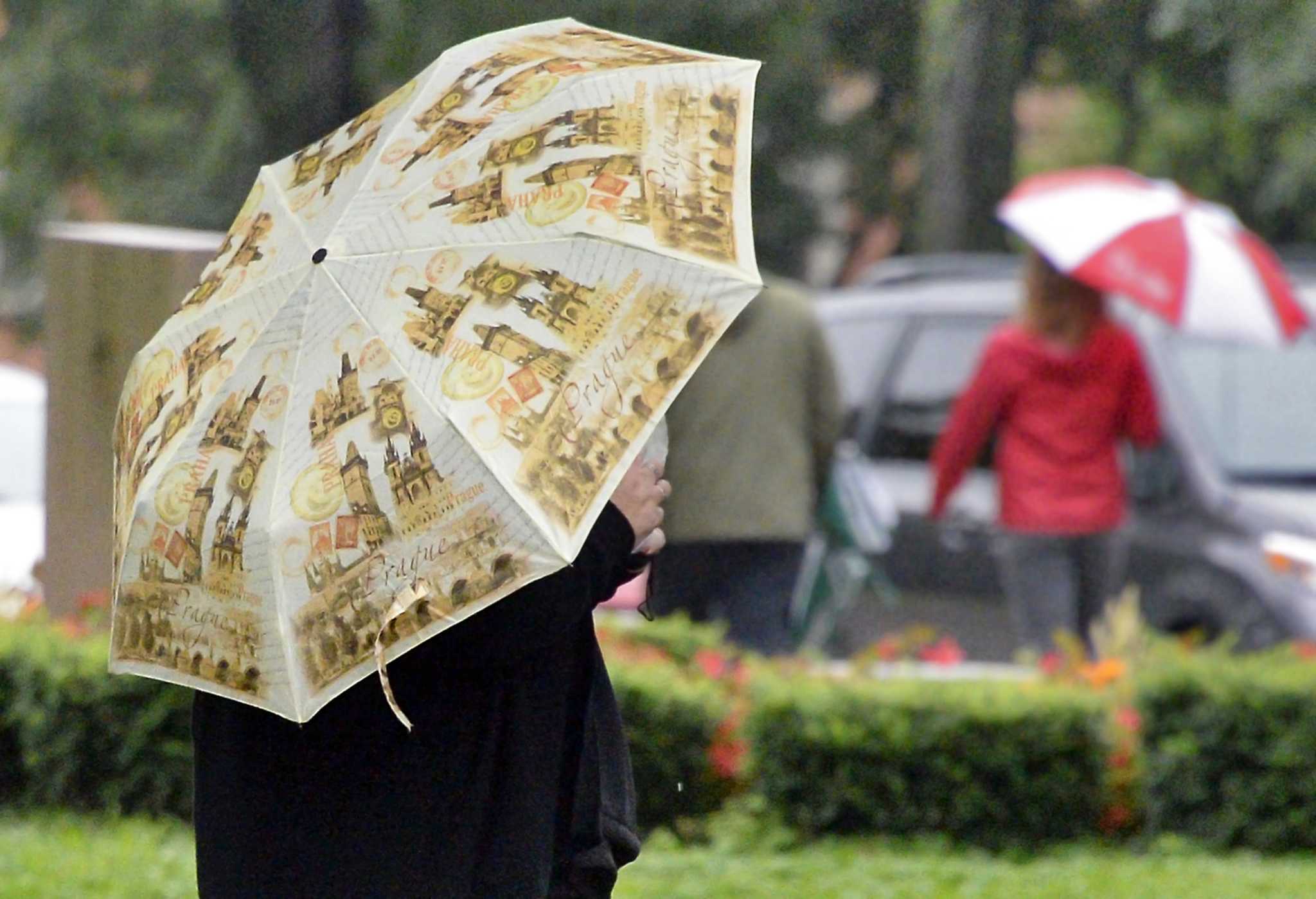 Wet, cool day ahead in Albany area - Times Union