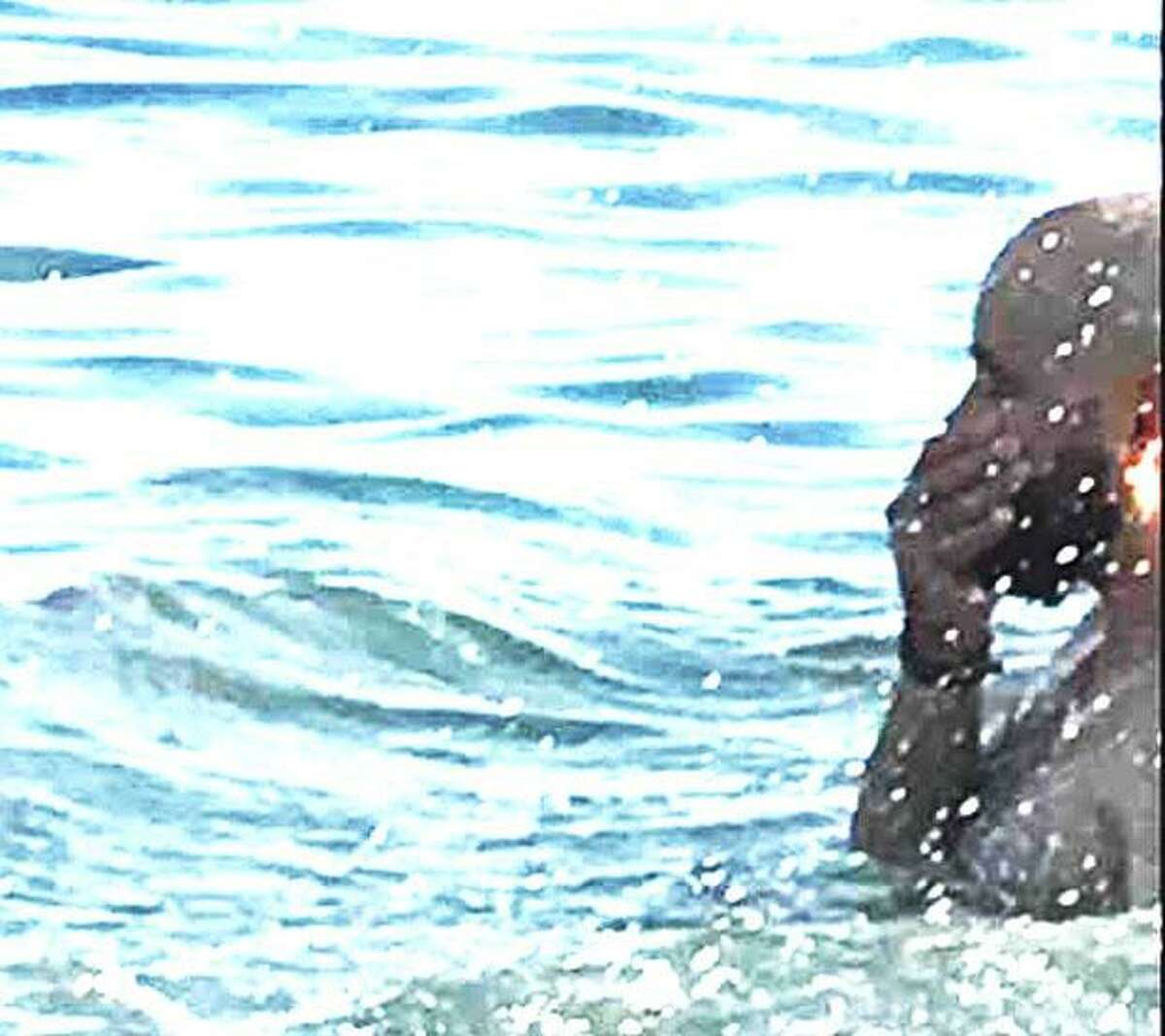 Cops looking for child-groping suspect