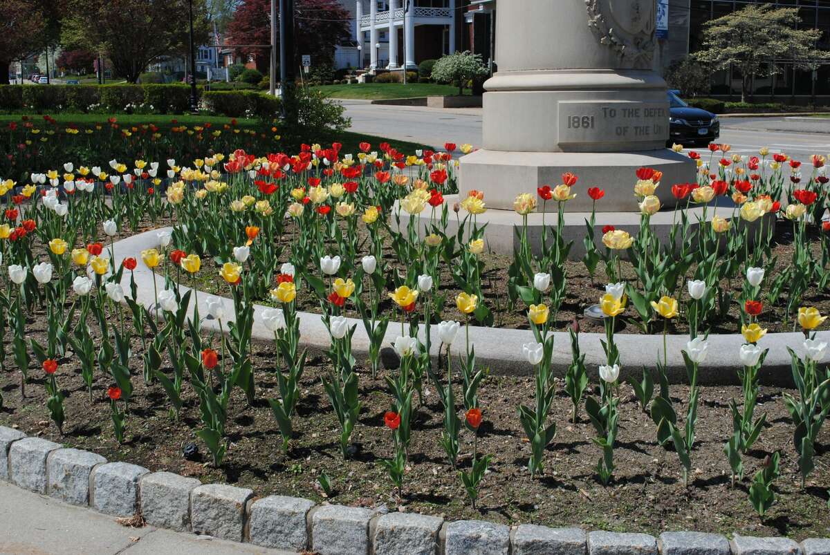 Apple Cinemas reopens theater in Torrington