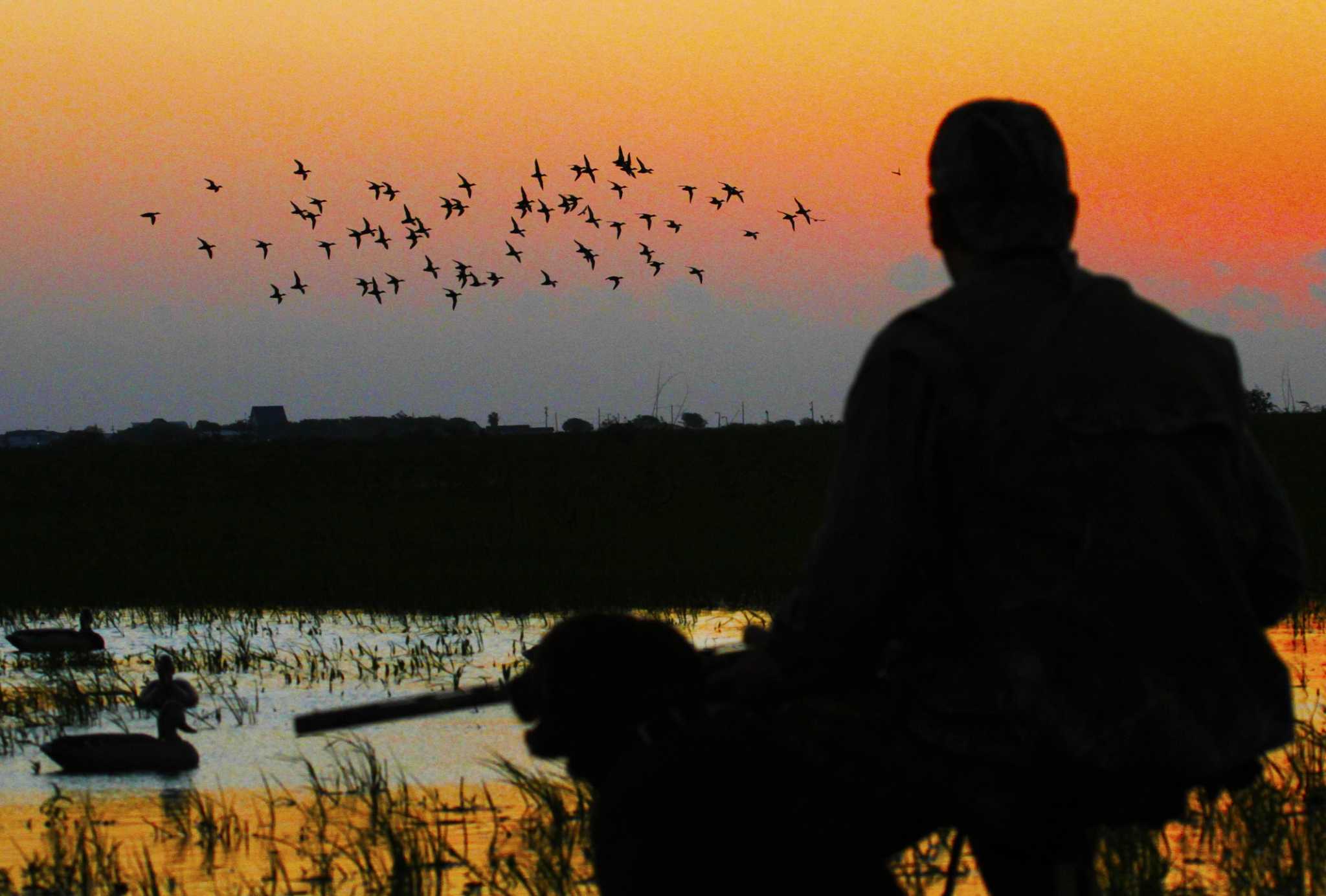 A wet start dampens South Zone dove opening but may help teal season