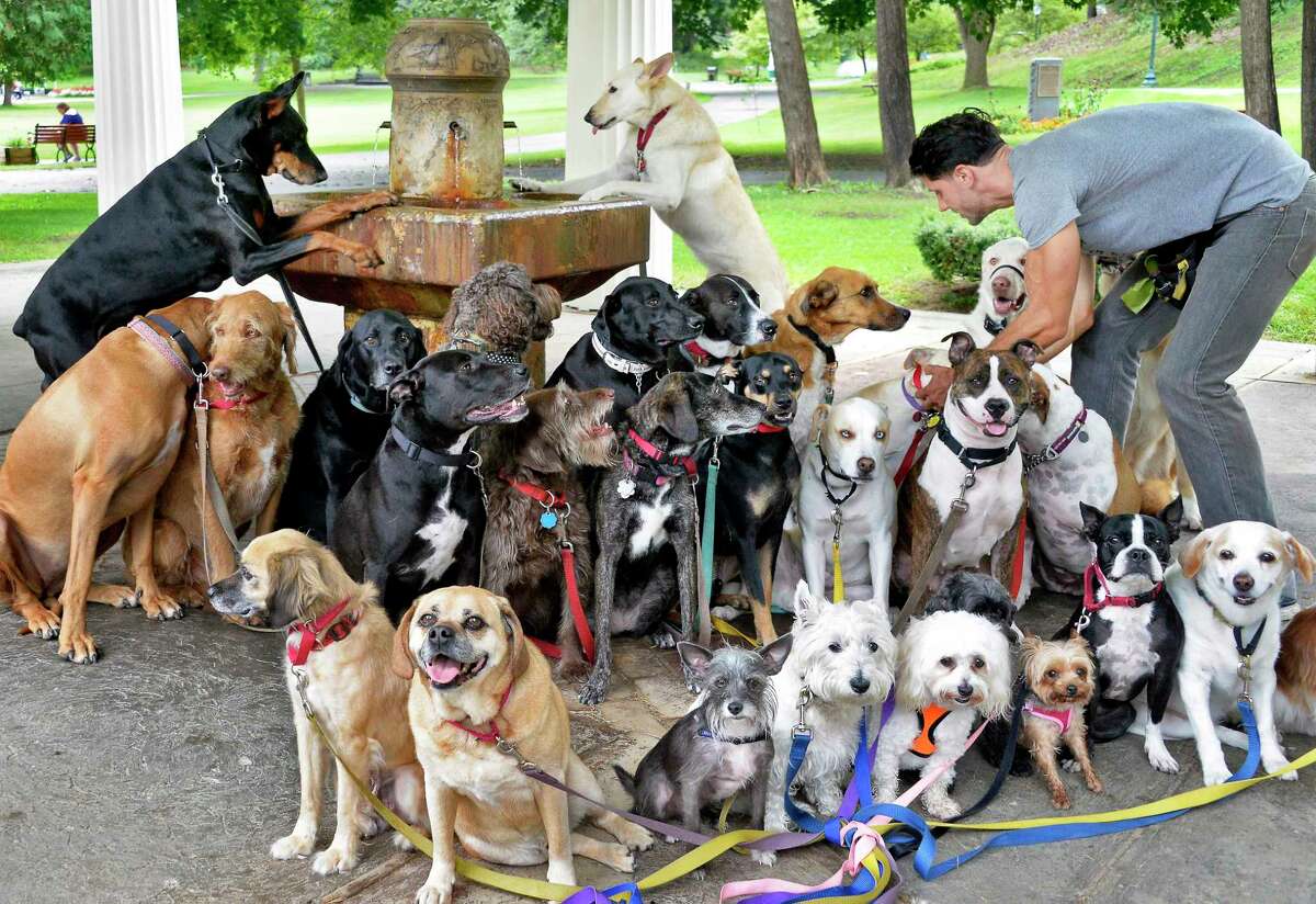 Tim Pink of Saratoga Dog Walkers poses 29 of his charges for a group photo at Congress Spring in Congress Park Wednesday Sept. 12, 2018 in Saratoga Springs, NY. Click through the slideshow to see more of John Carl D'Annibale's most notable photographs from 2018.