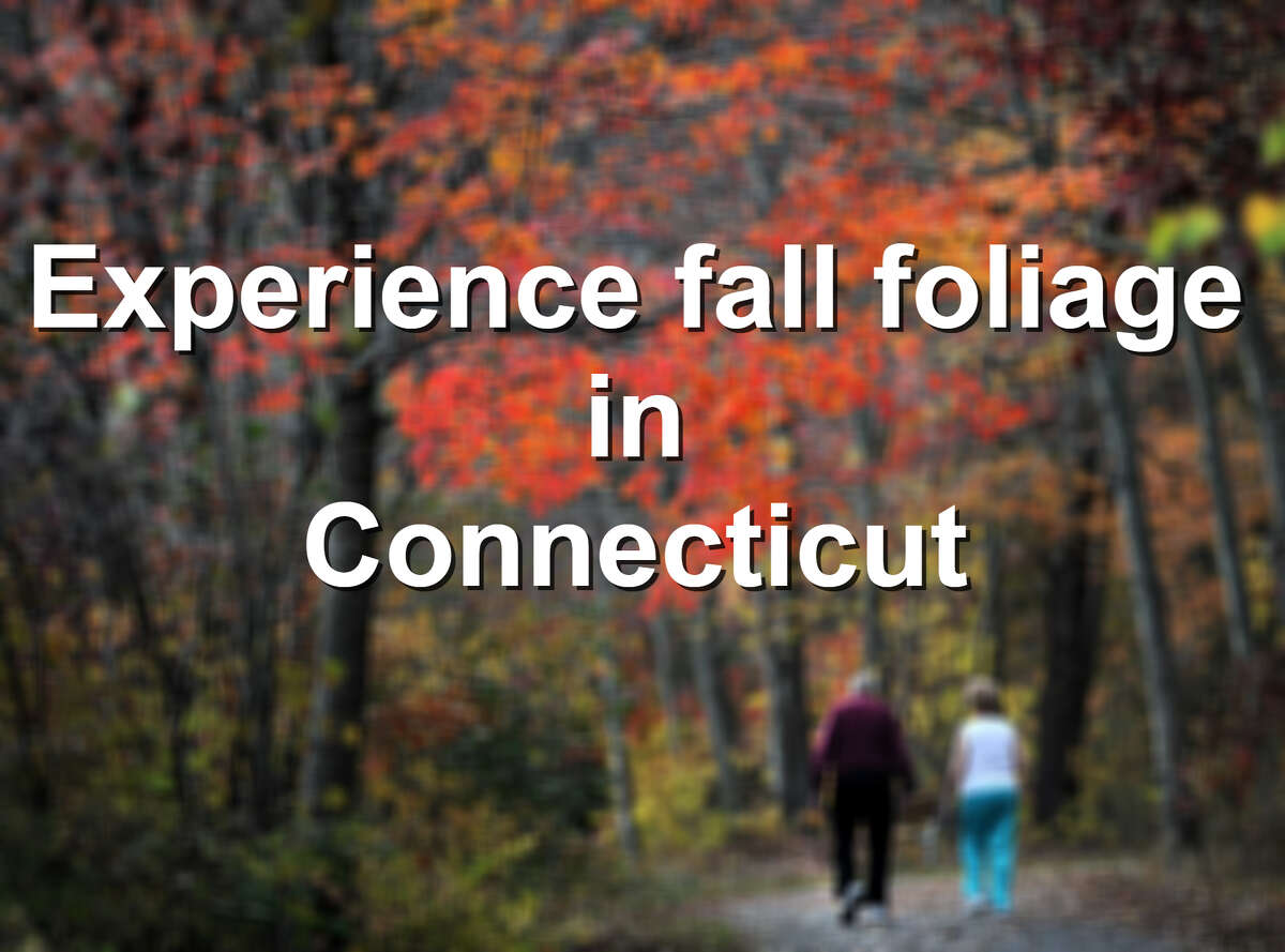 Unplug: Experience fall foliage in Connecticut