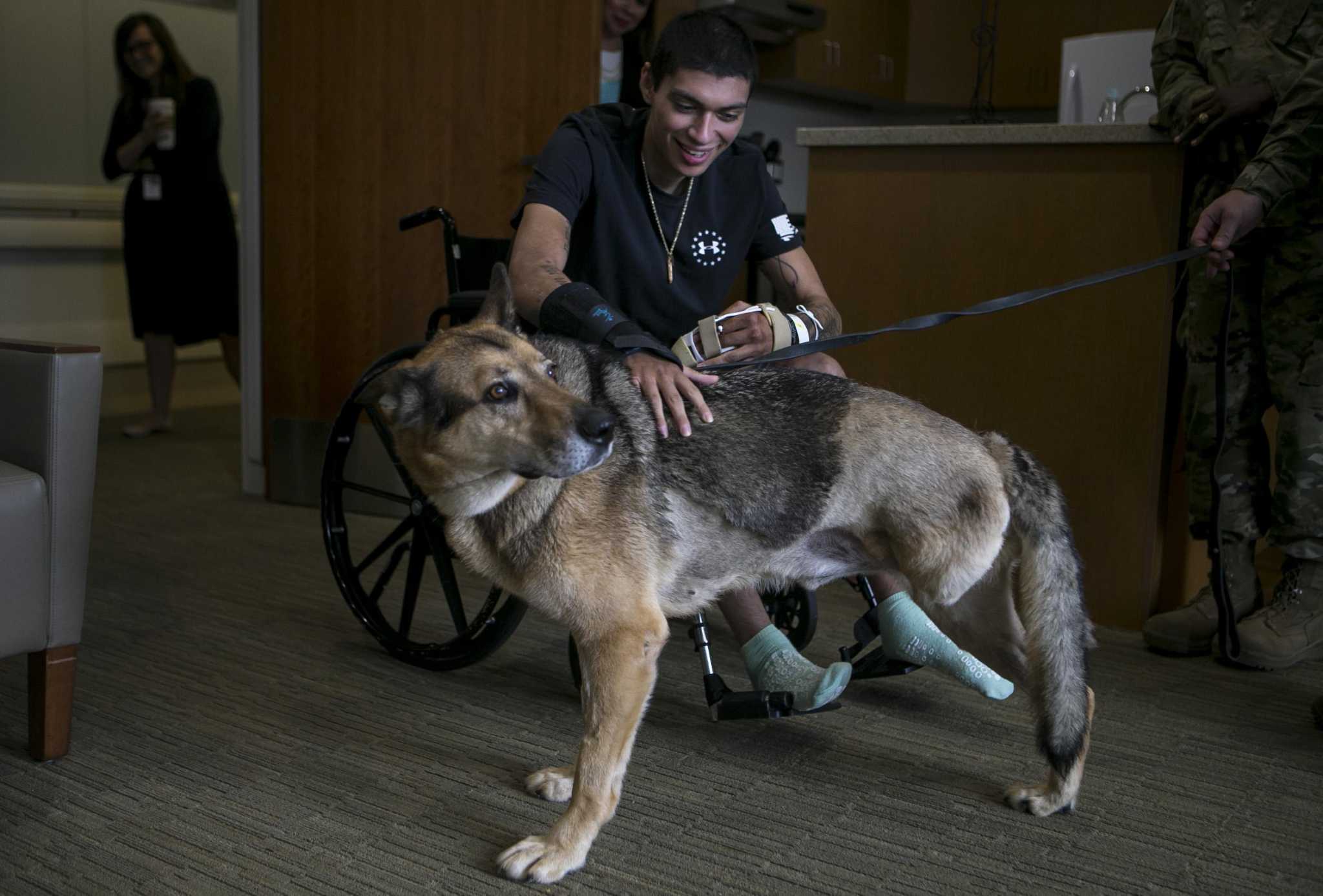 Wounded S.A. soldier gets his dog back