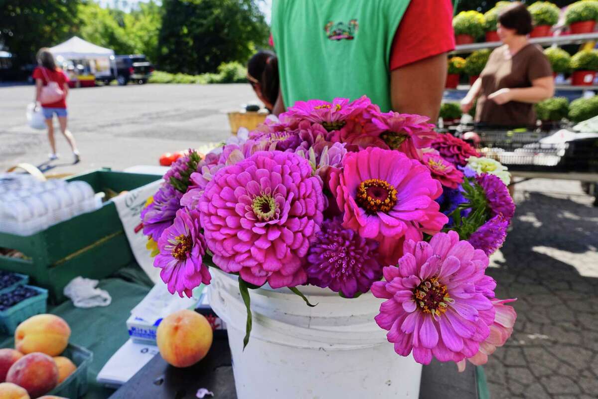 Washington Park Farmers Market launching this weekend