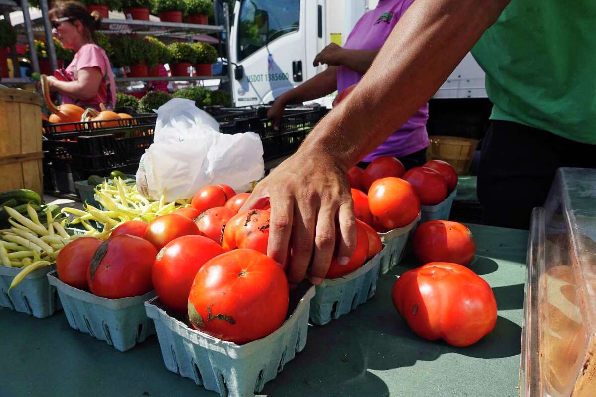 Photos Guilderland Farmers Market Cookoff