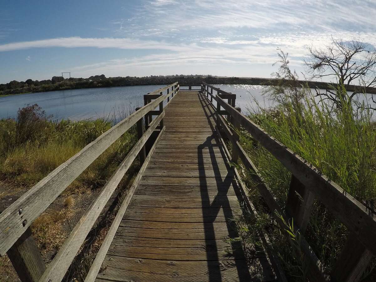 A dock in Brannan Island State Recreation Area that looks over the slough between Brannan Island and Twitchell Island near Rio Vista.