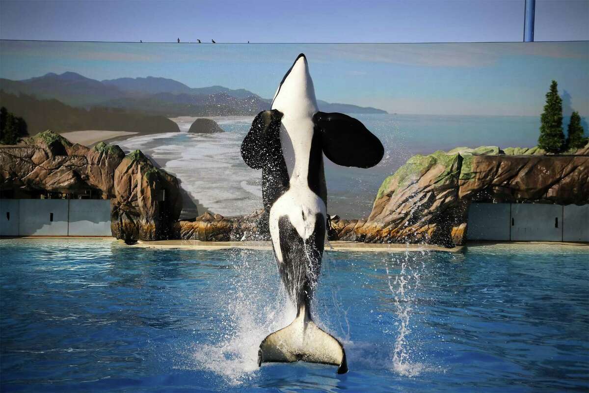 SeaWorld Entertainment and two former company officials have agreed to settle fraud charges stemming from the company’s public statements in the wake of the 2013 documentary film “Blackfish,” which negatively portrayed the company’s treatment of orcas.