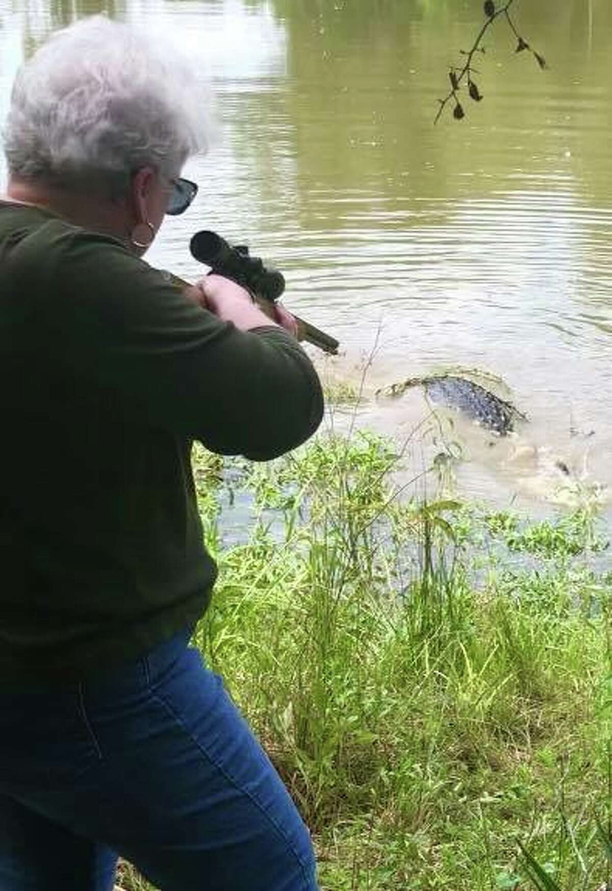 Livingston, Texas mayor, Judy B. Cochran, killed a  12-foot, 580-pound alligator Sunday, Sept. 16, 2018. It was in the same pond where her 5-year-old grandson hunted a beast in 2009.