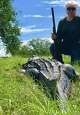Livingston, Texas mayor, Judy B. Cochran, killed a 12-foot, 580-pound alligator Sunday, Sept. 16, 2018.
It was in the same pond where her 5-year-old grandson hunted a beast in 2009.