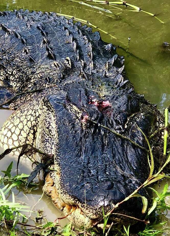 great-grandmother and livingston, texas mayor, judy b.