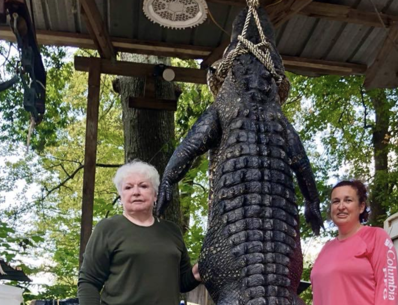Greatgrandmother and Livingston, Texas mayor, Judy B. Cochran, hunts 12foot, 580pound