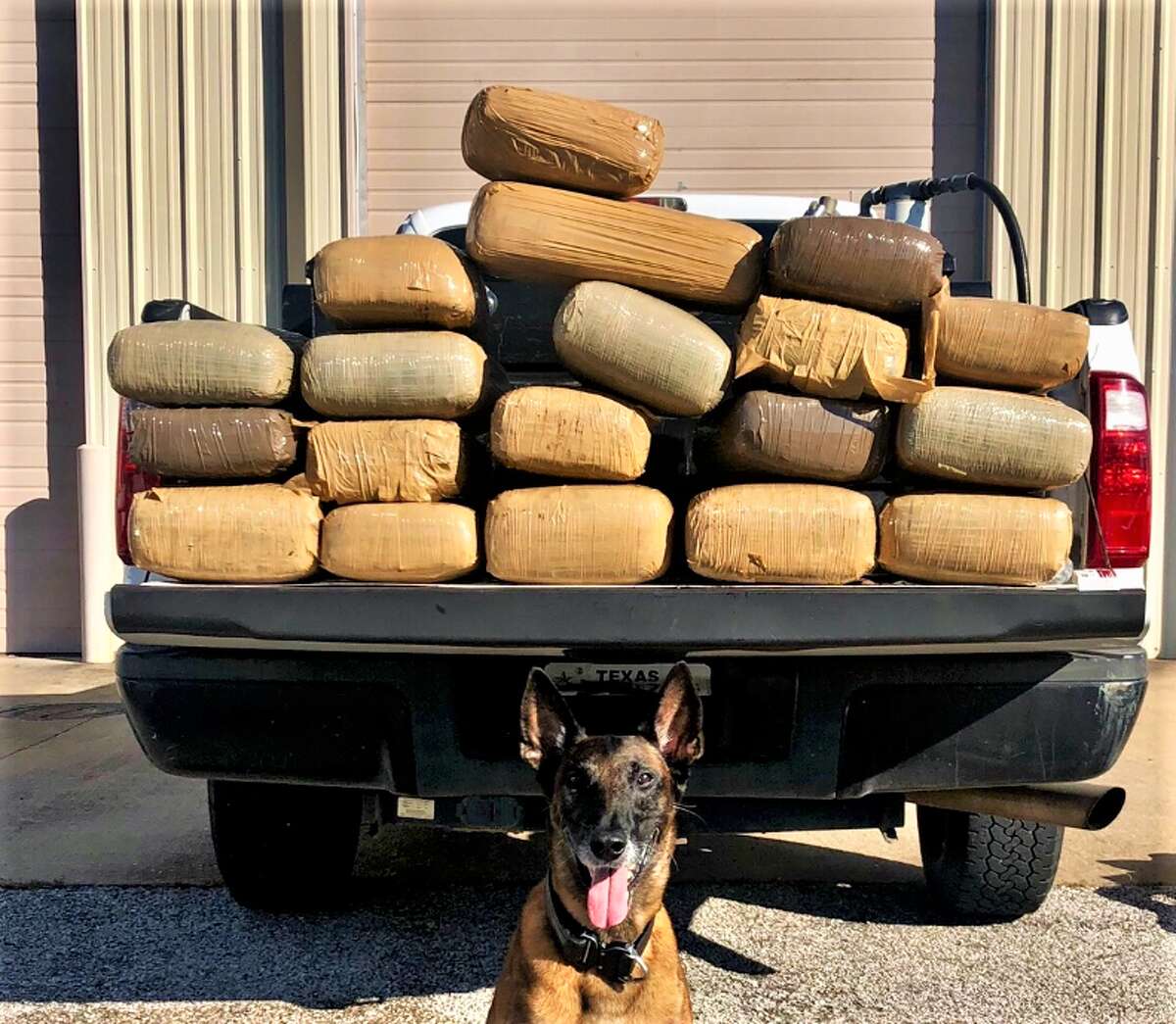 PHOTOS: Drug busts in the Houston areaDuring the traffic stop on U.S. 59 in Rosenberg Sept. 19, a task force officer and K-9 partner discovered 19 bundles of marijuana weighing approximately 202.5 pounds in an altered external fuel tank in the bed of the truck. >>>See photos of 2018 drug busts in the Houston area...