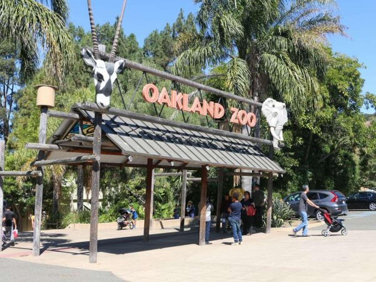 Oakland Zoo to remain closed through Saturday due to poor air quality