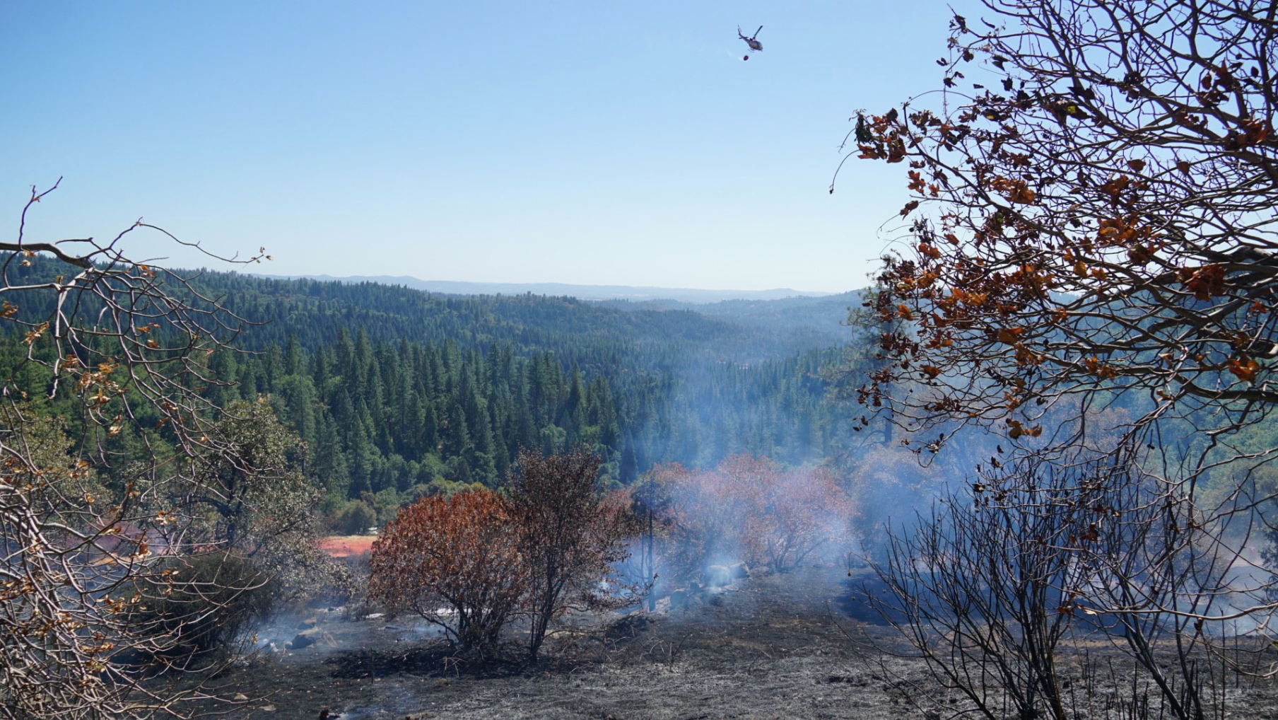 Wildfire Near Placerville Jumps Highway 50, Prompts Evacuations