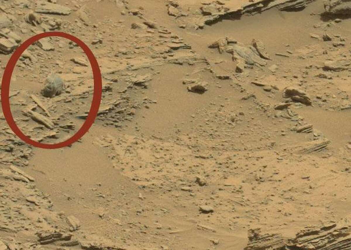 Scientist claims to spot insects on Mars, but I think they're just rocks