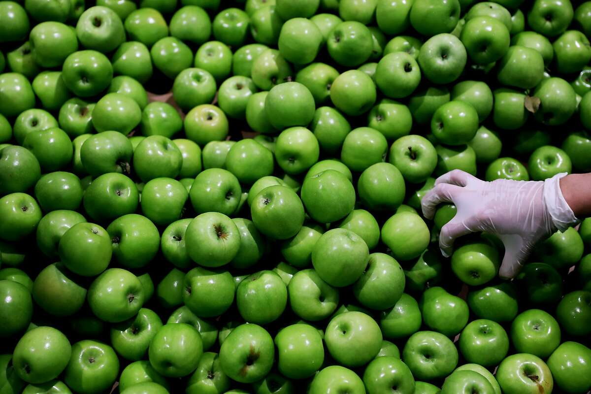 A Salesforce employee picks up Granny Smith Candy apples to inspect at the San Francisco - Marin Food Bank, located at 900 Pennsylvania Ave., in San Francisco, Calif., on Wednesday, September 19, 2018. Salesforce gives its employees a week of PTO for community service and on Wednesday, eleven Salesforce employees used two hours of that time to volunteer at the food bank.