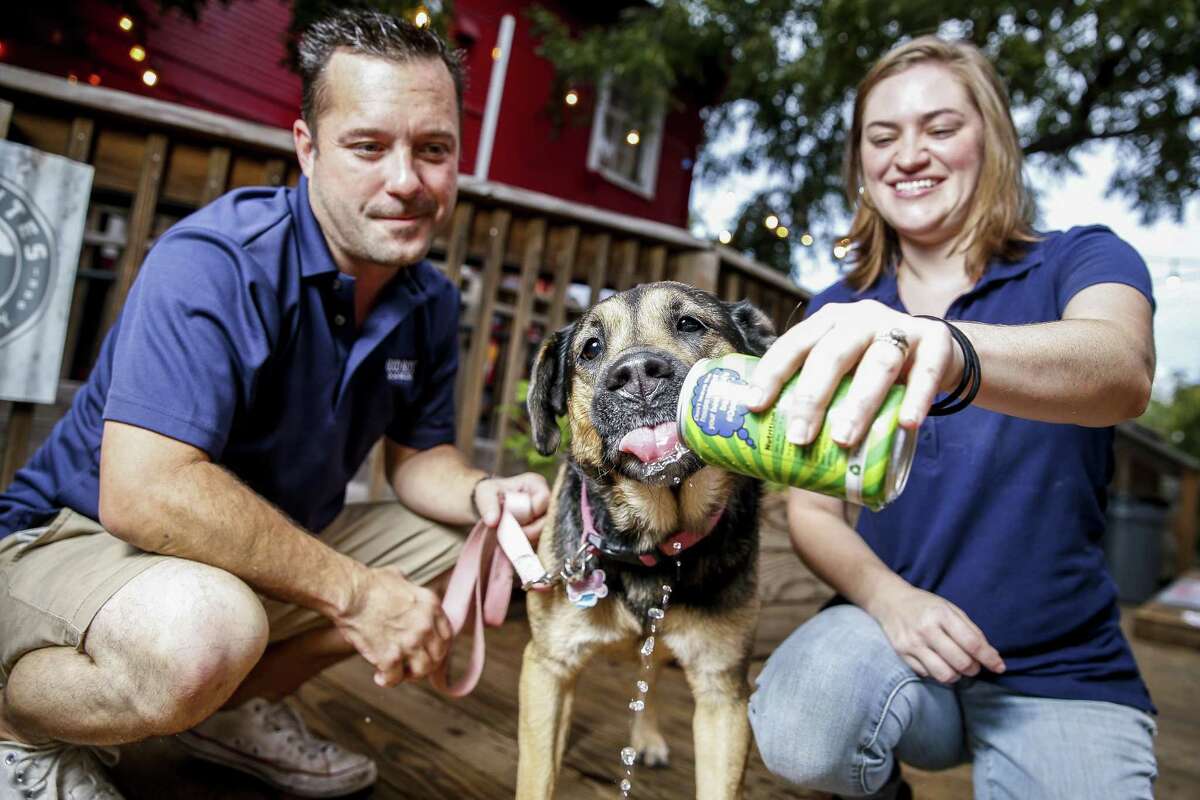 Chloe the dog tries the Good Boy Dog Beer IPA Lot in the Yard drink developed by Henderson Heights owners Megan and Steve Long Thursday Sept. 20, 2018 in Houston. The couple has launched three flavors of Good Boy Dog Beer including pork, chicken and vegetable based drinks.
