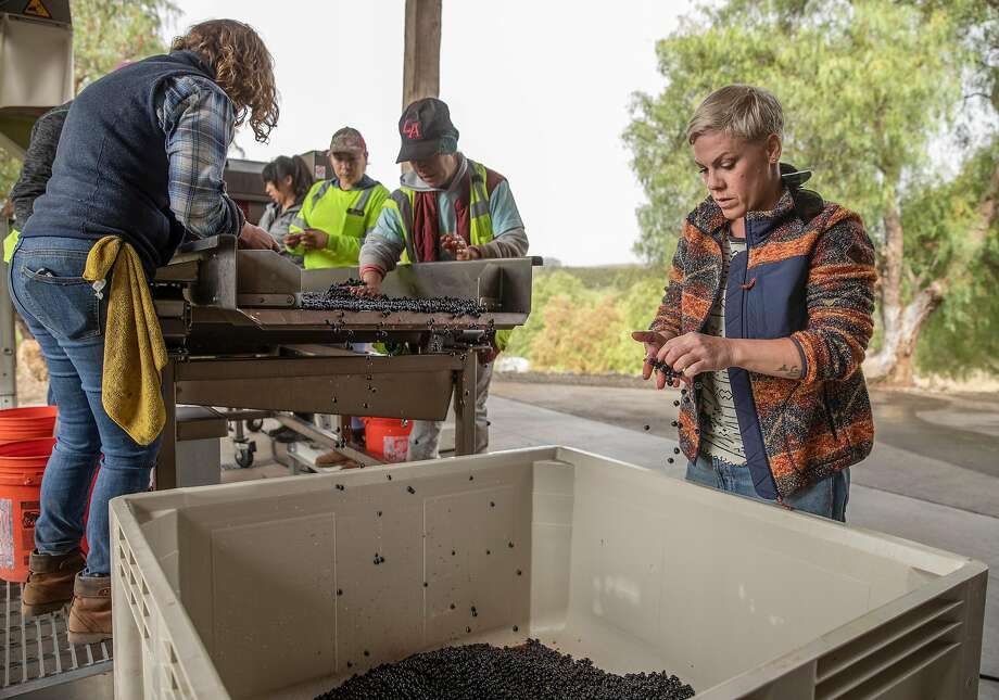 Winemaker Alecia Moore helps process grapes at her winery, Two Wolves Estate Vineyard, on Monday, Sept. 24, 2018 in Santa Ynez, Calif. Moore will release her wines to the public for the first time in October under the name Two Wolves. Photo: Russell Yip / The Chronicle
