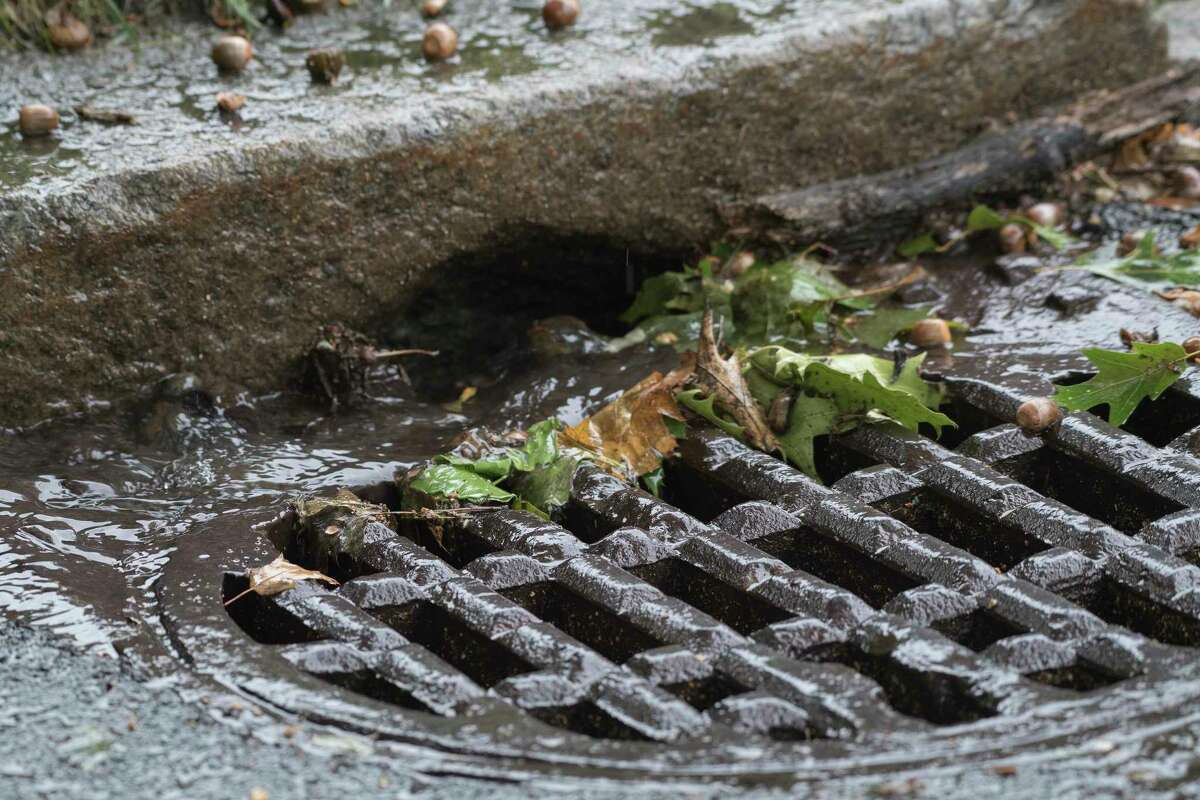 View of a storm drain at the corner of Melrose Avenue and Fairlawn Avenue Tuesday Sept.25, 2018 in Albany, N.Y. (Skip Dickstein/Times Union)